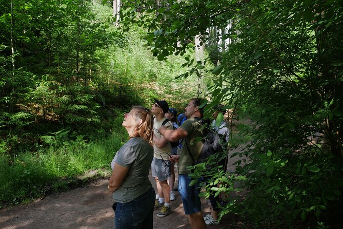 3 in 1 Tour Brewery & Castle in Bohemian Paradise Unesco Geopark - A classic Prague day trip, but with real variety