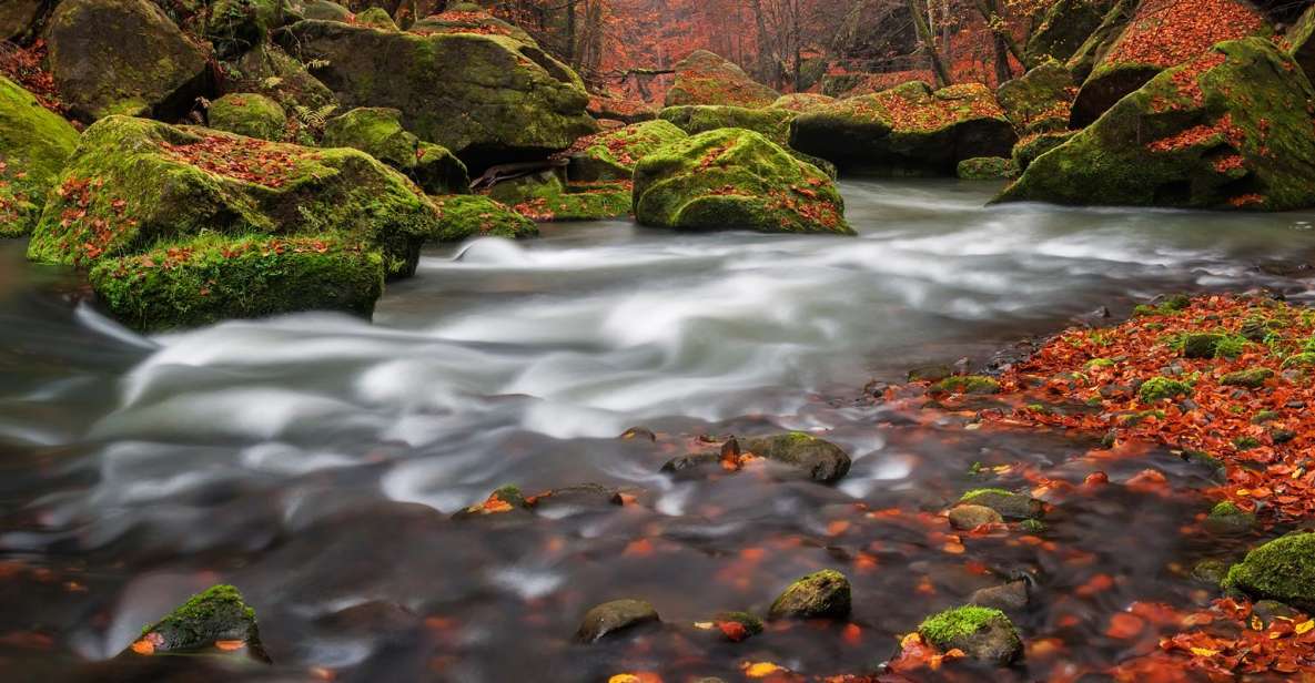Bohemian Switzerland: Private Day Trip from Prague - Price and value: what $801 for up to 2 really buys