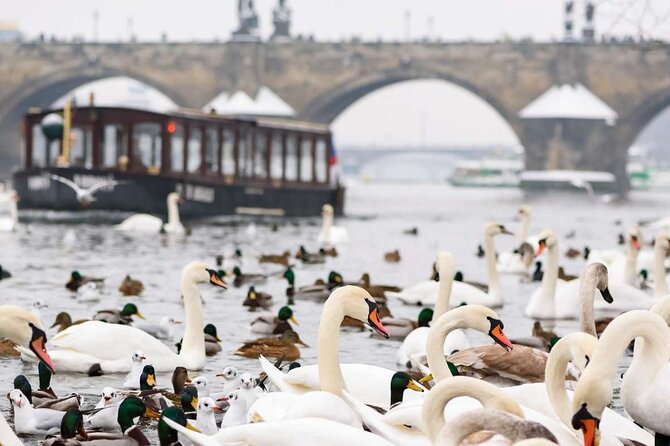 Charles Bridge: River Boat Cruise & Guided Tour ️with PragueWay - Kampa Island: One of Prague’s Most Relaxing Quick Stops