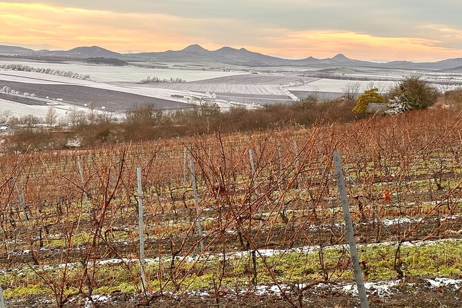 Cozy Winter Countryside Tour 4x4: Experience Authentic Bohemia - Food and drink: what’s included, what’s optional, and how to budget
