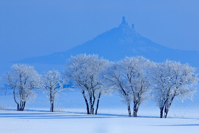 Cozy Winter Countryside Tour 4x4: Experience Authentic Bohemia - The Trebivlice winery stop: modern production with old-world scenery
