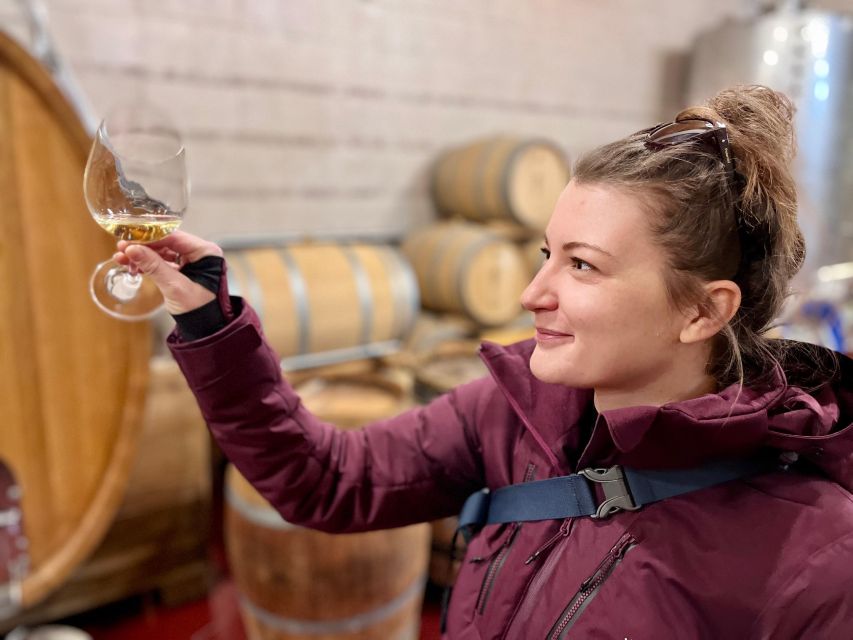 Czech Vineyards and Wine Tasting 4WD Tour with Lunch - The value of a 4x4 wine day from Prague