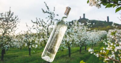 Czech Vineyards and Wine Tasting 4WD Tour with Lunch - Třebívlice vineyards: the setting and why it matters