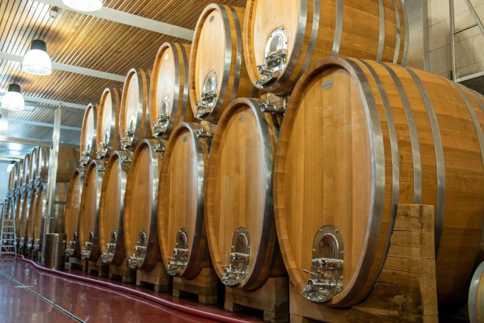 Czech Vineyards and Wine Tasting 4WD Tour with Lunch - Cellar tour and vineyards: learning without feeling lectured