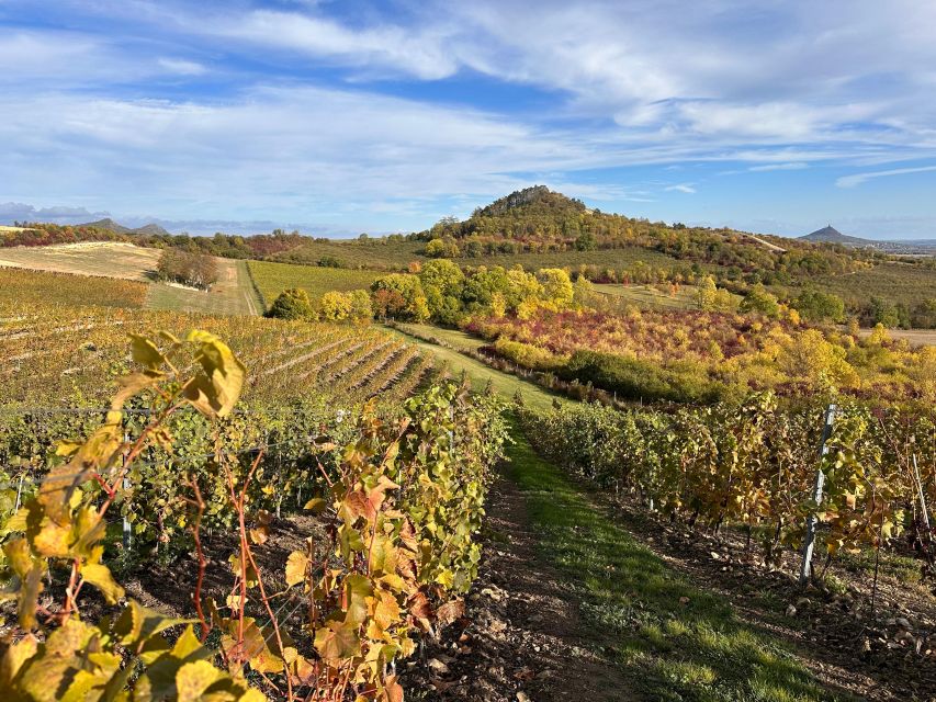 Czech Vineyards and Wine Tasting 4WD Tour with Lunch - Lunch with unlimited beer and a five-castle view