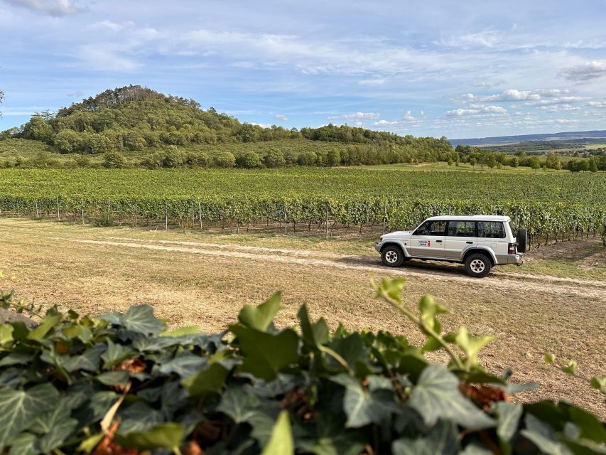 Czech Vineyards and Wine Tasting 4WD Tour with Lunch - From wine to history: gothic castles and an old Jewish cemetery