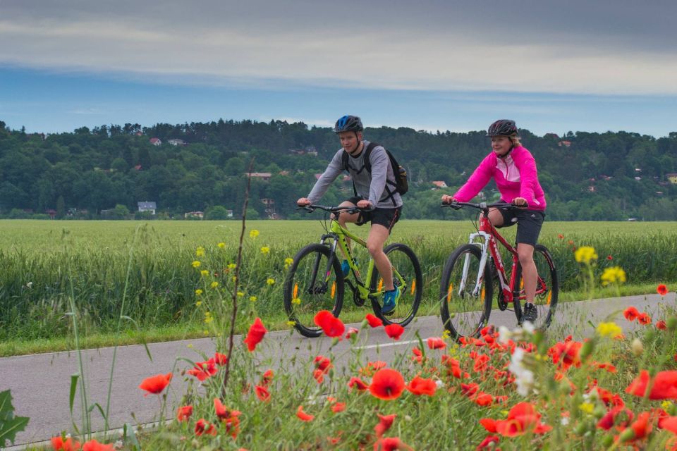 E-Bike Day Trip: Visit a Roman Castle and Taste Craft Beer - Key highlights worth aiming for