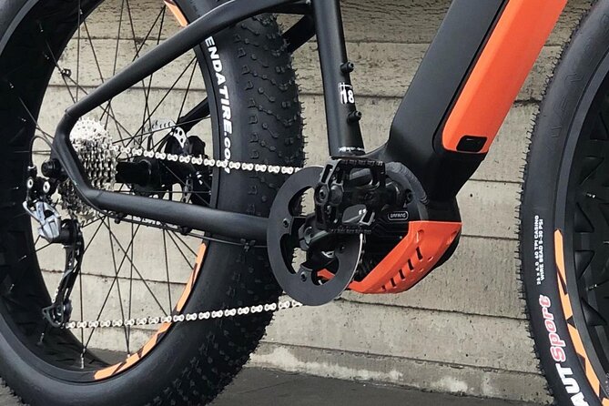 FAT TIRE E-BIKE GREAT TOUR - river, parks & panoramic views tour - Letná Park, the Metronome, and Queen Anne’s Gardens: Where the View Wins