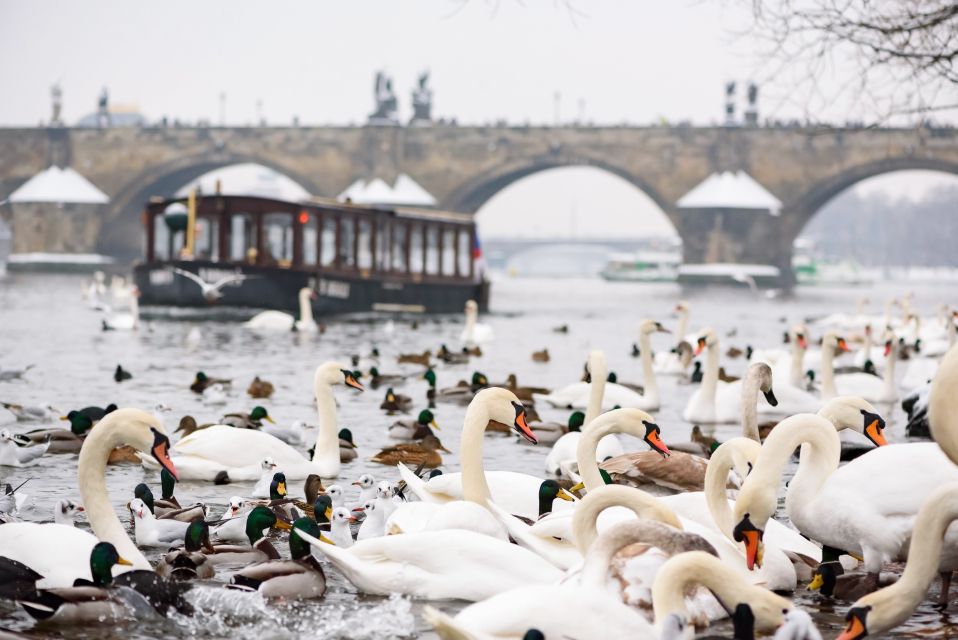 Prague: 1.5-Hour River Boat Cruise and Guided Tour - Starting at Mostecká 4: the easiest way to get oriented near Charles Bridge