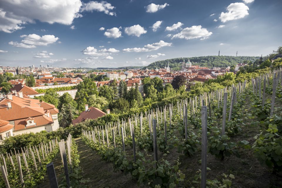 Prague: 3–Hour Castle Grounds Walking Tour and River Cruise - Key highlights you’ll feel right away