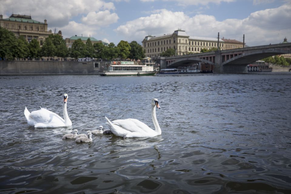 Prague: 3–Hour Castle Grounds Walking Tour and River Cruise - The Vltava cruise with refreshments: the easiest part of the whole day