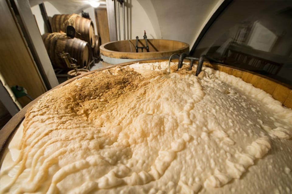 Prague: Beer Tasting and Brewery Tour - Who Should Book This Beer Tasting in Prague