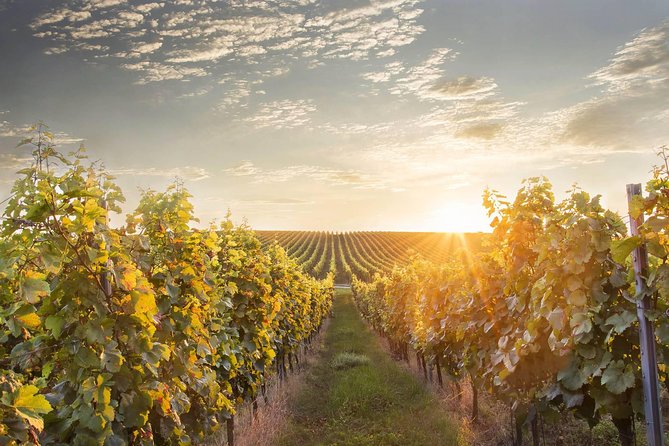 Prague-Bratislava One-Way Sightseeing Day Tour - Stop 2: Mikulov Castle views, town-square walking, and optional wine