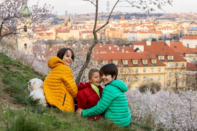 Prague City Highlights Private Tour for Kids and Families - Admission and the Skip-the-Line Idea: What It Means for Families