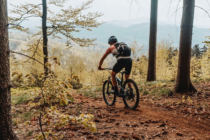 Prague E-Mountain Biking Adventure In The Bohemian Paradise - Weather and Terrain Reality: What to Expect on the Day