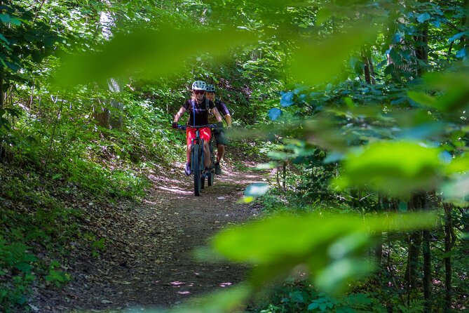 Prague E-Mountain Biking Adventure In The Bohemian Paradise - Who This Tour Suits Best (and Who Might Want to Pass)