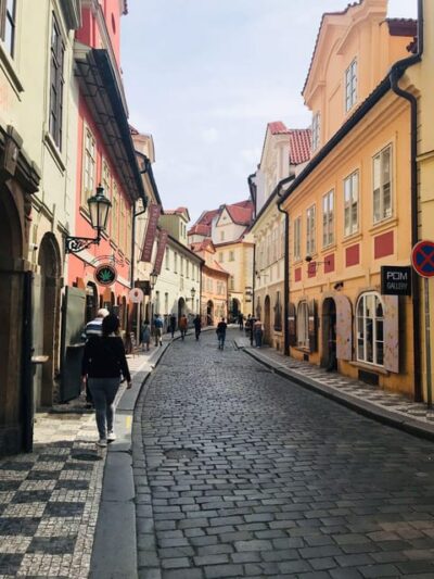 Prague: Highlights of Prague Private Half-Day Tour by Car - Wenceslas Square, the National Museum, and the State Opera from the road