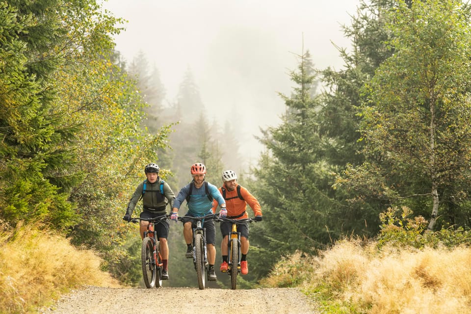 Prague Mountain Biking: Blast Through The Best Singletracks - How the guide builds your day: climbs, flowy descents, gnarly options
