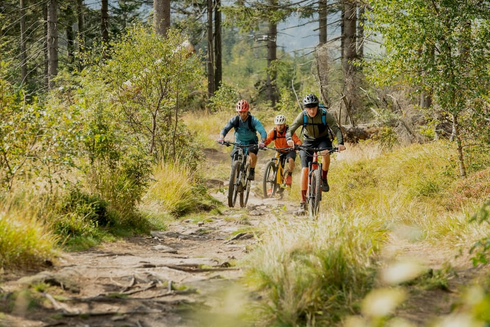 Prague Mountain Biking: Blast Through The Best Singletracks - The bike: 150mm travel that turns rough trail into fun