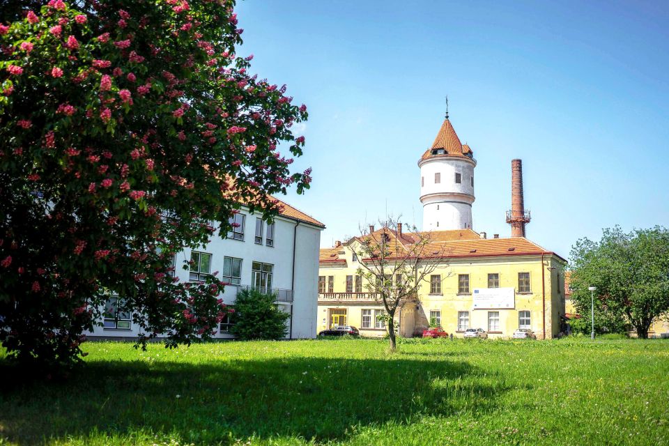 Prague: Psychiatric Hospital and Abandoned Cemetery Tour - Medieval rituals to lobotomies: why the timeline matters
