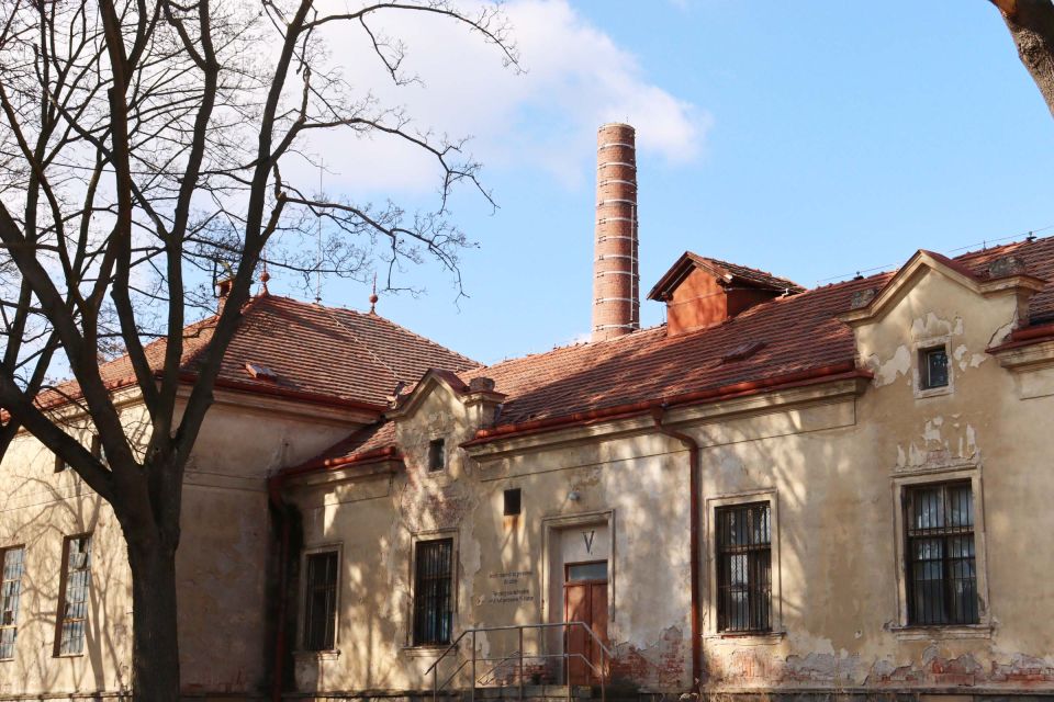 Prague: Psychiatric Hospital and Abandoned Cemetery Tour - The Rosenham experiment: diagnosis under a microscope