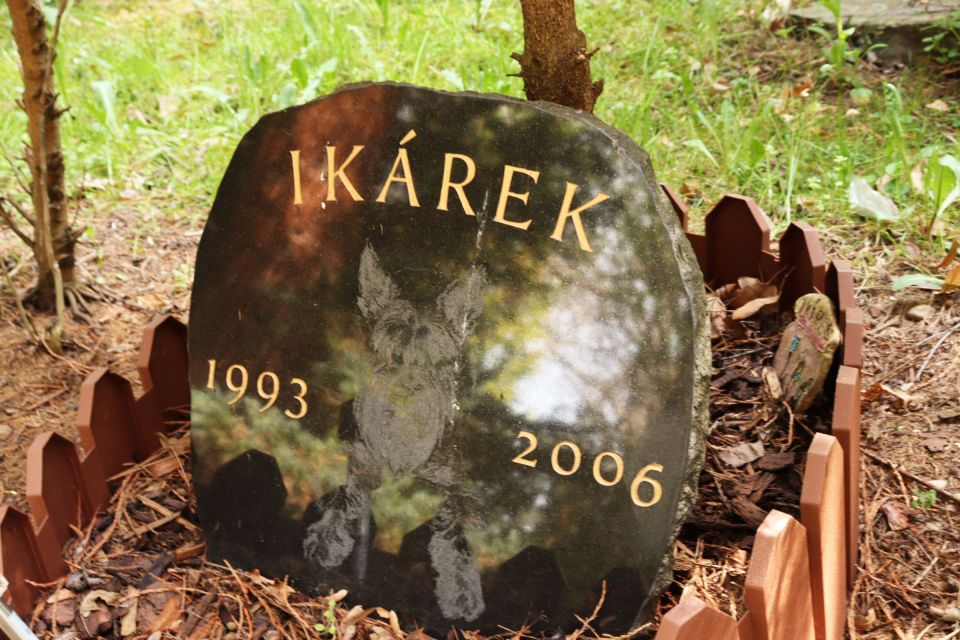 Prague: Psychiatric Hospital and Abandoned Cemetery Tour - Price and value: is $32 worth it?
