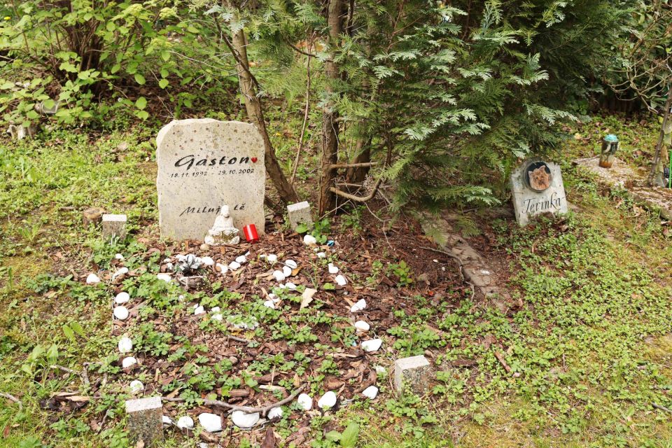 Prague: Psychiatric Hospital and Abandoned Cemetery Tour - Getting there in Prague: Bohnice logistics without stress