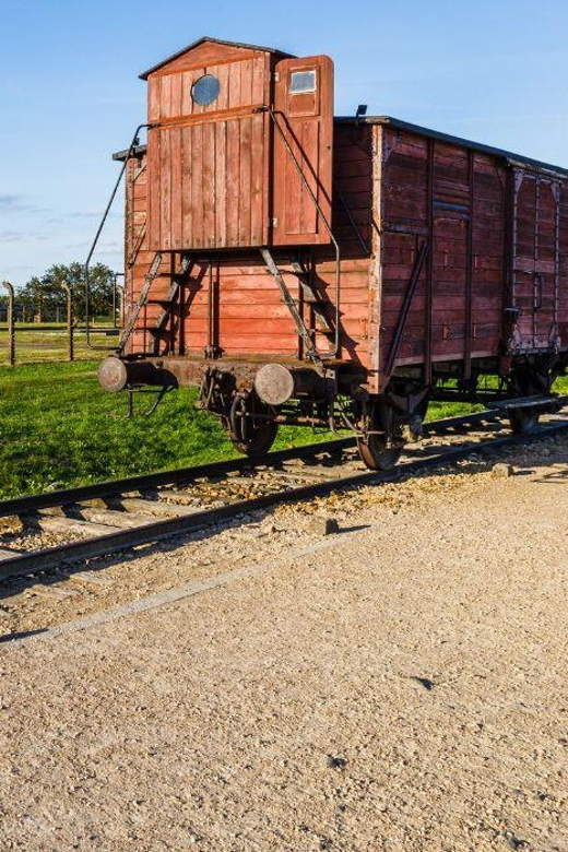 Prague: Tour to Auschwitz Birkenau - A few practical tips before you go