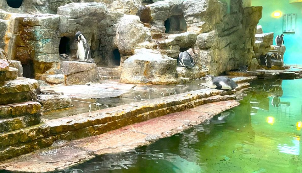 Prague Zoo Online Audio Guide (No ticket) - Your starting point at U Trojského zámku: first steps that prevent confusion