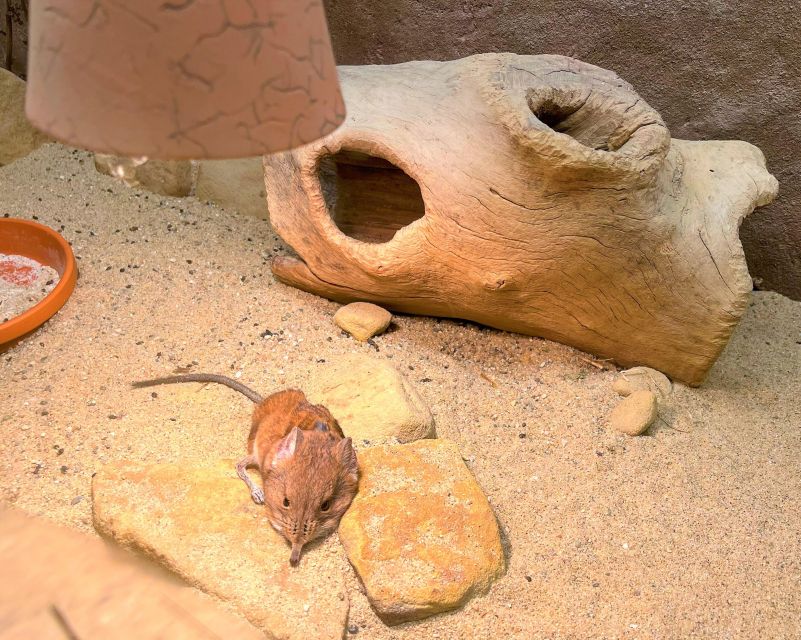 Prague Zoo Online Audio Guide (No ticket) - How the audio guide uses maps to cut through the zoo maze