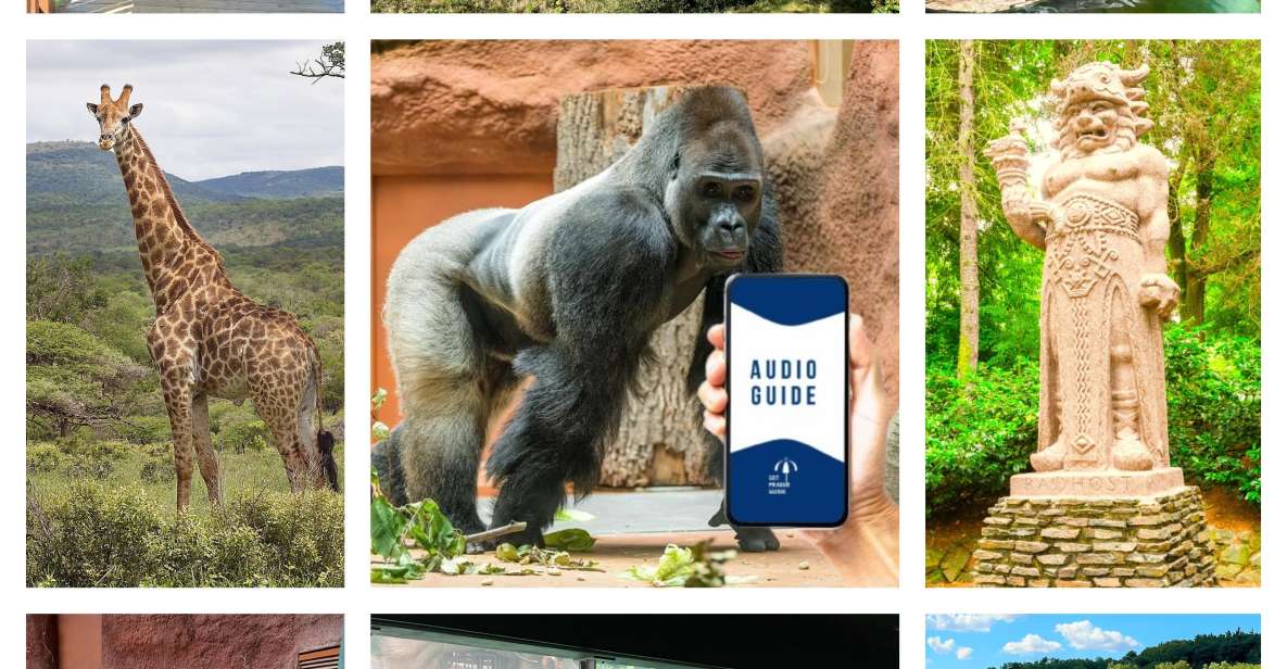 Prague Zoo Online Audio Guide (No ticket) - What the narration covers: history, floods, war, and breeding wins