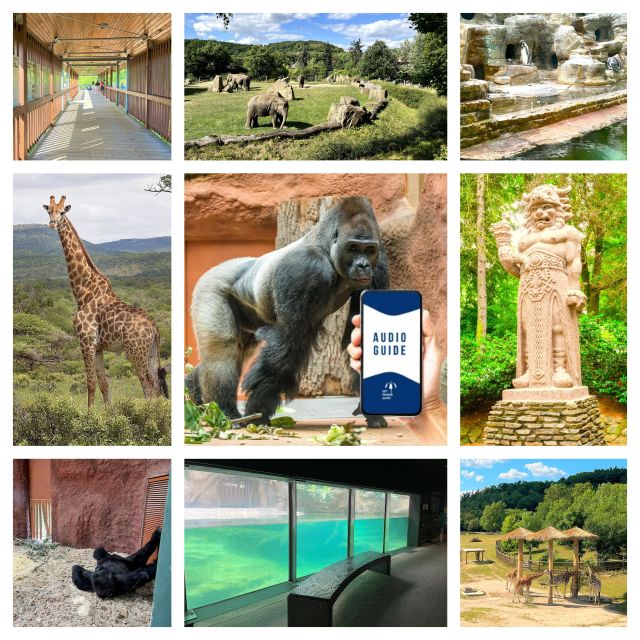 Prague Zoo Online Audio Guide (No ticket) - No-ticket setup: how the guide fits with your zoo admission
