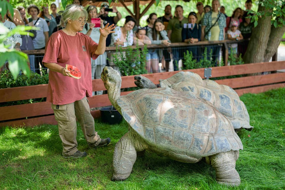 Prague Zoo: Skip-the-Line Entry Ticket - 6 Key Things to Know Before You Go to Prague Zoo