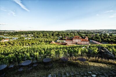 Prague´s Hidden Vineyards Private Tour - Hotel Pickup and Grebovka Wine Cellar: A Quiet Start with a Welcome Drink