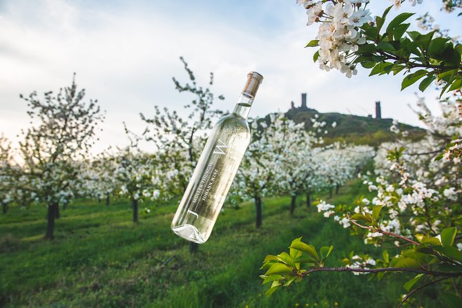 Private PICNIC in Bohemian Vineyards and Wine Tasting 4WD Tour - Key highlights to look for