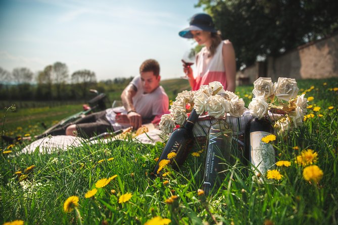 Private PICNIC in Bohemian Vineyards and Wine Tasting 4WD Tour - Leaving Prague for Bohemian Vineyards with a 4WD plan