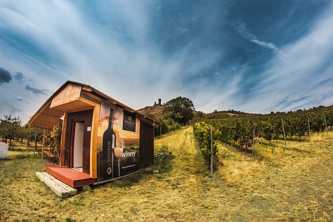 Private PICNIC in Bohemian Vineyards and Wine Tasting 4WD Tour - Private guide attention: why it feels better than group tours