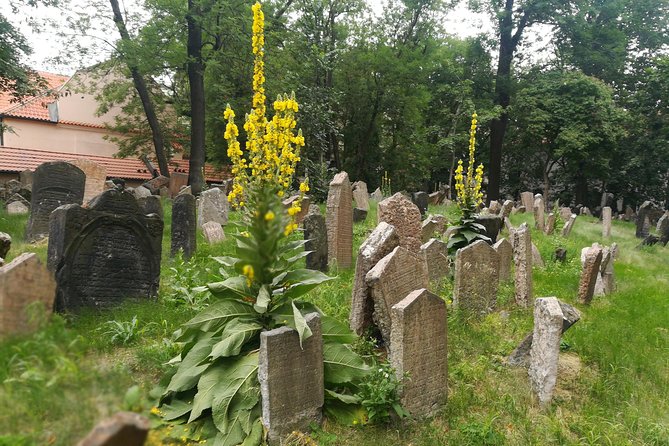 Private Stories of Jewish Prague Walking Tour - Pinkas Synagogue: Shoah commemoration and children’s drawings