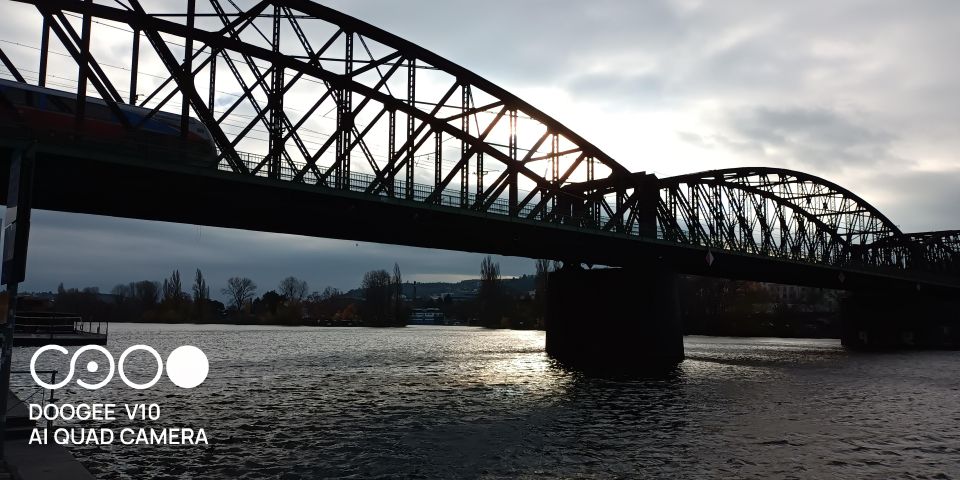 Real life in Prague - Easy Walk from Vysehrad to Vyton - Bison the dog: why the dog is more than a gimmick
