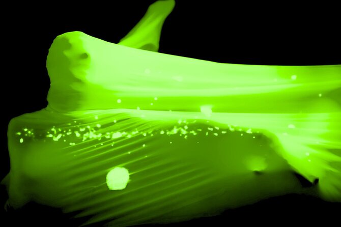 Underground Black Light Theatre Interactive Show in Prague - Your evening at HILT: what actually happens during the show